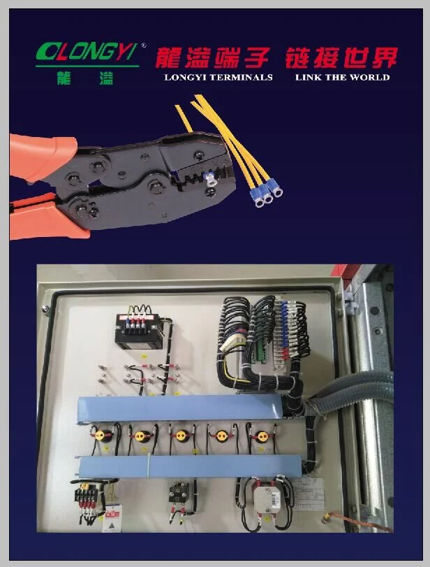 Special Cable Lugs-2 Screw Connector Terminal