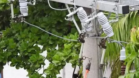 33kV 36kV 200A 극 장착형 MV 폴리머 퓨즈 컷아웃